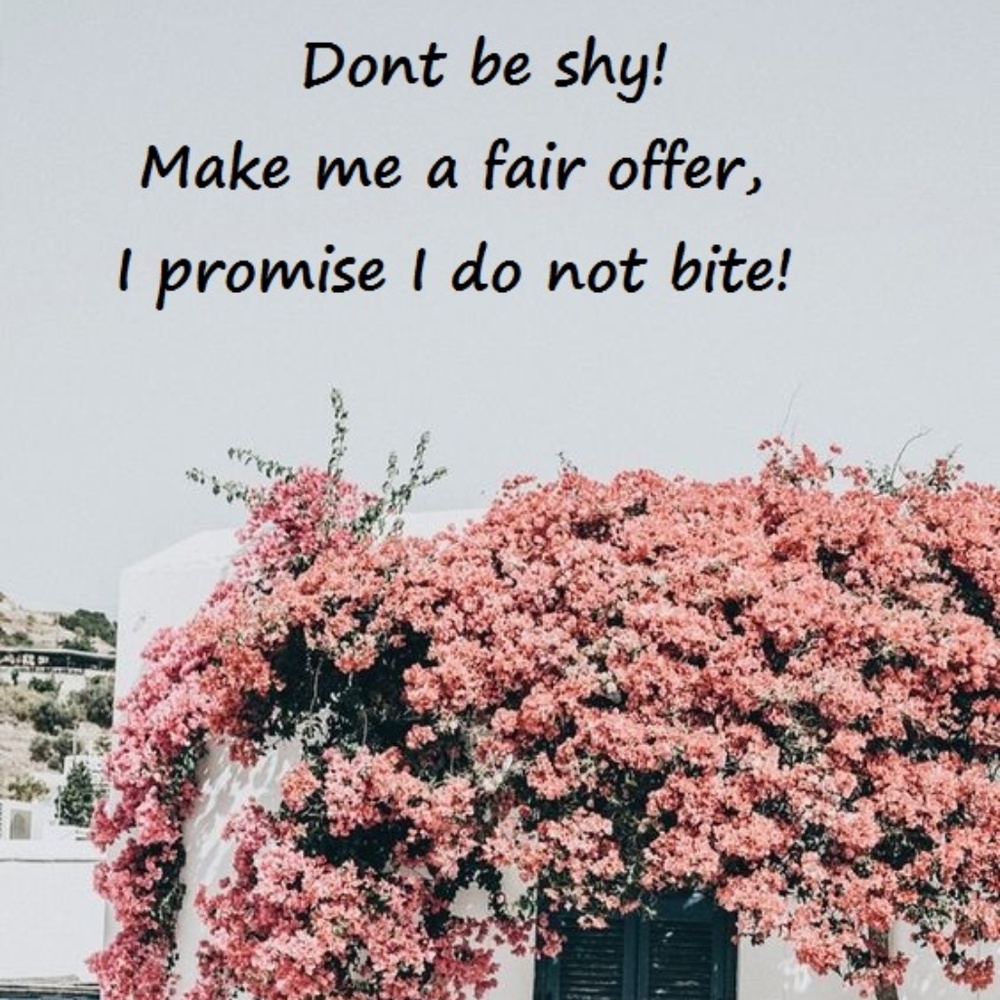 Open to Fair Offers! I promise I do not Bite!